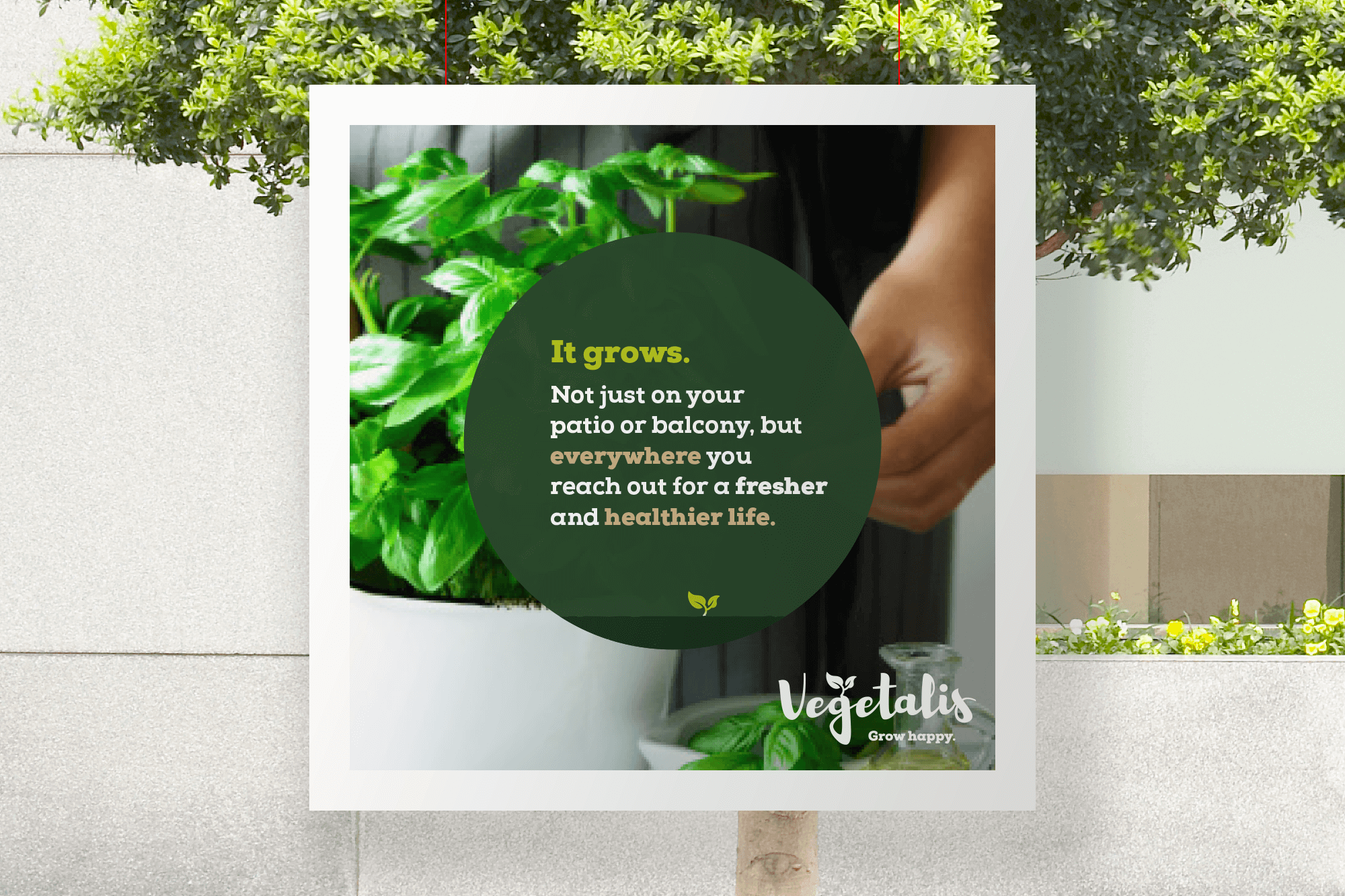 01-haesselbarth-de-Vegetalis-branding-Poster-4 Poster für das Branding von Vegetalis für Syngenta