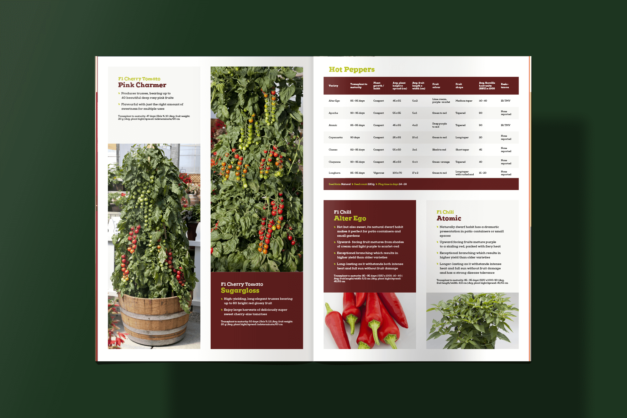 Katalog Doppelseite für das Branding von Vegetalis für Syngenta