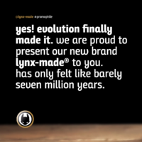 lynxmade_01-1